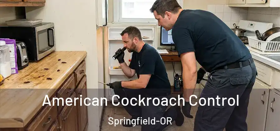 American Cockroach Control Springfield-OR