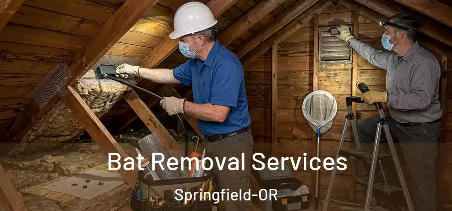Bat Removal Services Springfield-OR