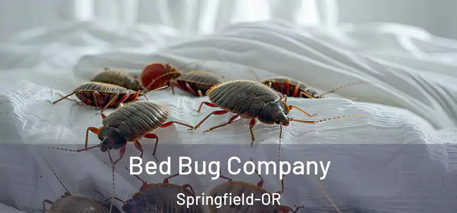 Bed Bug Company Springfield-OR