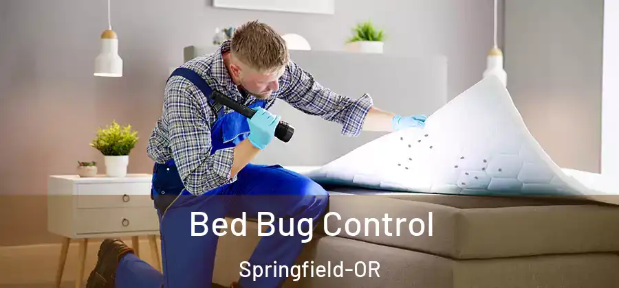 Bed Bug Control Springfield-OR