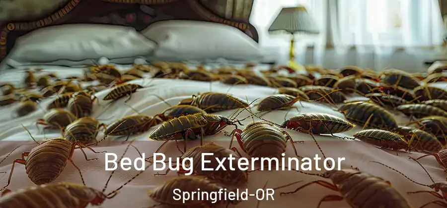 Bed Bug Exterminator Springfield-OR