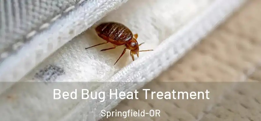Bed Bug Heat Treatment Springfield-OR