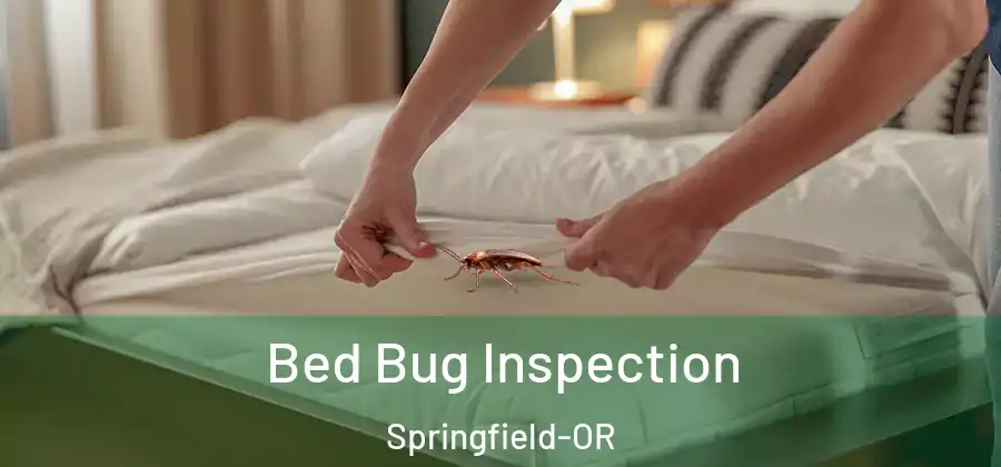 Bed Bug Inspection Springfield-OR