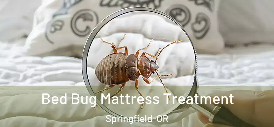 Bed Bug Mattress Treatment Springfield-OR