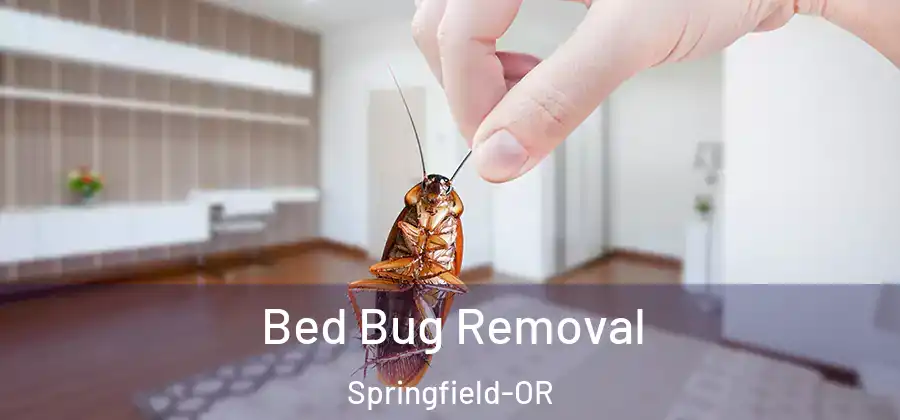 Bed Bug Removal Springfield-OR