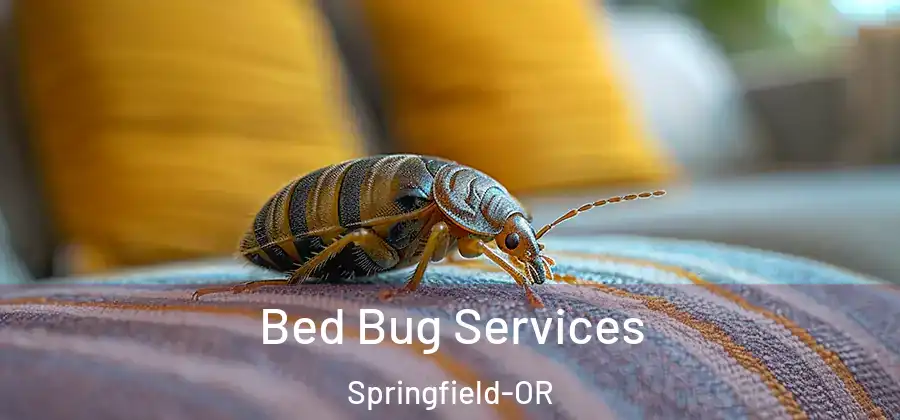  Bed Bug Services Springfield-OR