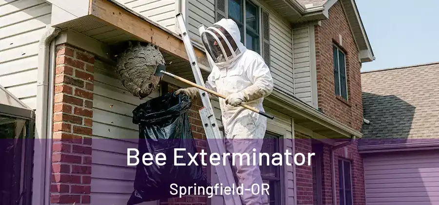 Bee Exterminator Springfield-OR