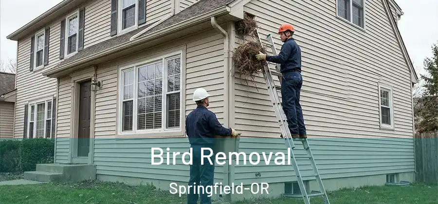 Bird Removal Springfield-OR