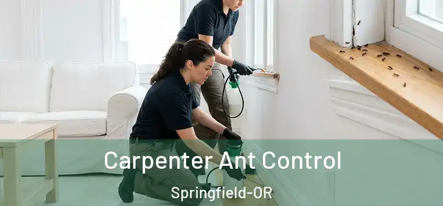 Carpenter Ant Control Springfield-OR