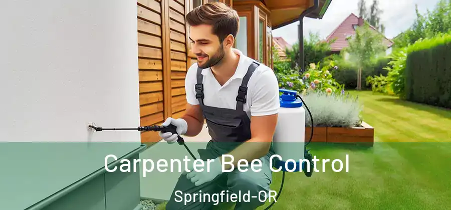 Carpenter Bee Control Springfield-OR
