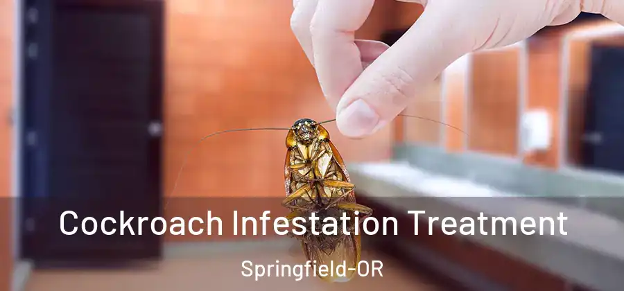 Cockroach Infestation Treatment Springfield-OR