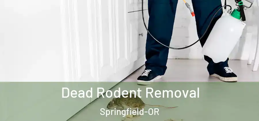 Dead Rodent Removal Springfield-OR