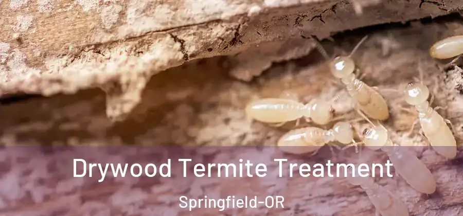 Drywood Termite Treatment Springfield-OR