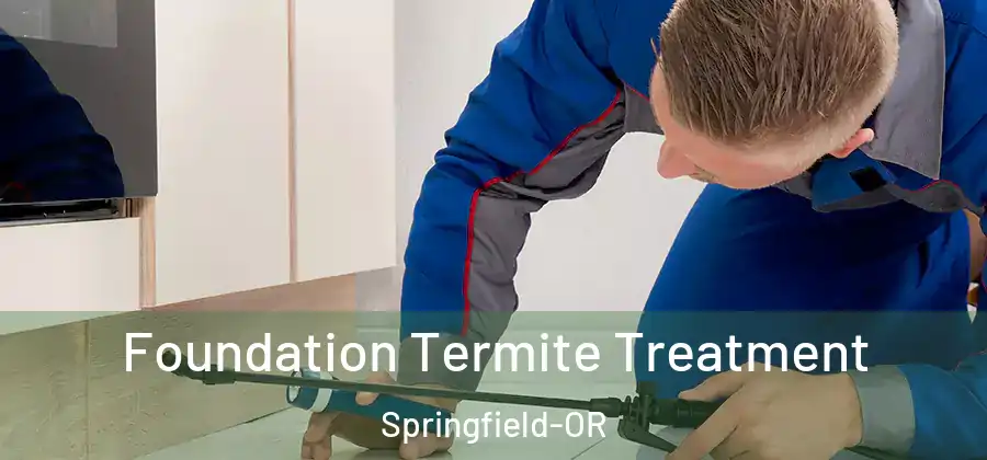 Foundation Termite Treatment Springfield-OR