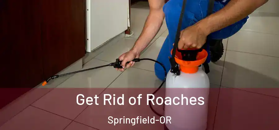 Get Rid of Roaches Springfield-OR