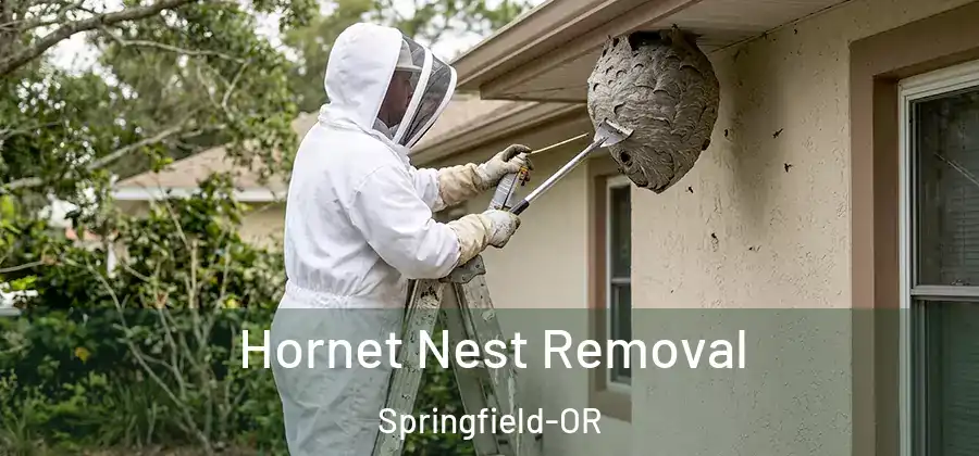 Hornet Nest Removal Springfield-OR