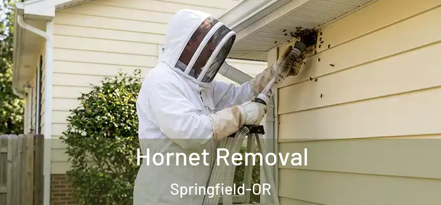 Hornet Removal Springfield-OR