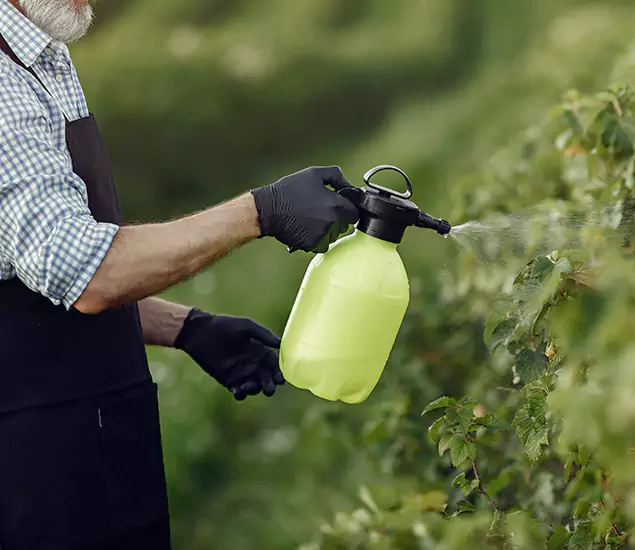 Your Proven Mosquito Treatment Company in Springfield, OR