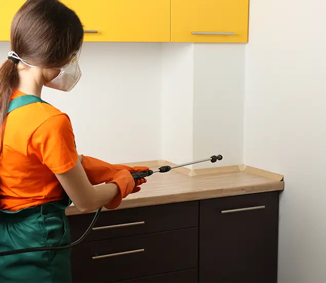 Trusted Bed Bug Pest Control Specialist in Springfield, OR