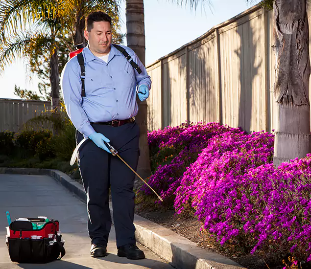 About Our Eco Safe Pest Control Experts in Springfield, OR