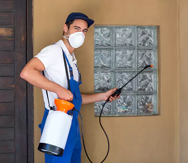 Your Reliable Pest Control in Springfield, OR