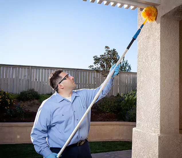 Trusted Experts in Springfield OR for Formosan Termite Treatment and Black Termite Control