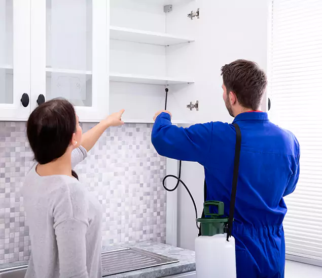 In Springfield, OR Advanced Household Pest Control by Springfield MA Pest Control Pros