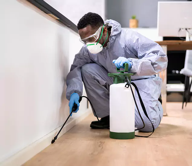 Leading Industrial Pest Control Experts Serving Springfield, OR