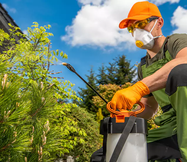 Your Mosquito Repellent Barrier Service in Springfield, OR