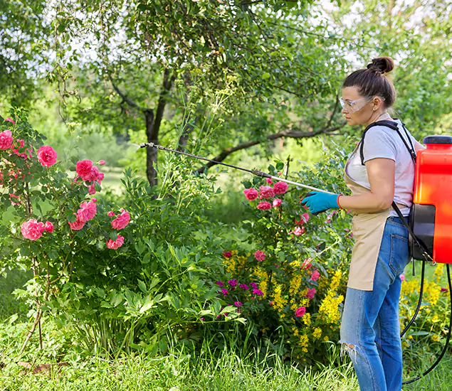 Your Trusted Mosquito Exterminator in Springfield, OR