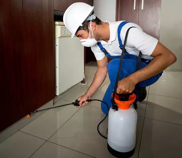 Advanced Termite Pre Treatment Experts in Springfield, OR