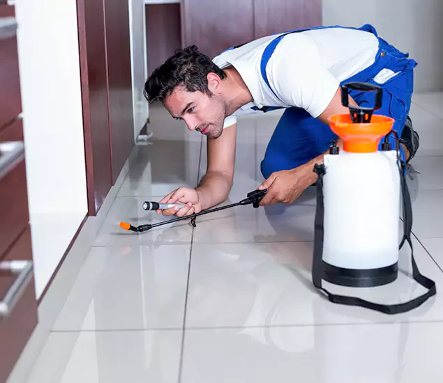Advanced Slab Termite Treatment Experts You Can Trust&nbsp;in Springfield, OR
