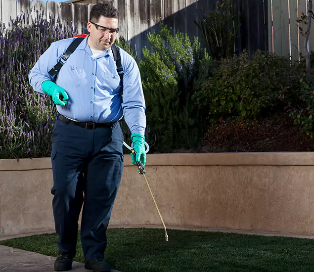 Reliable Termite Barrier Treatment Experts in Springfield, OR