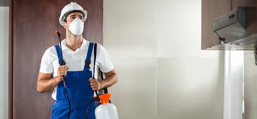 Per Room Bed Bug Cost in Springfield