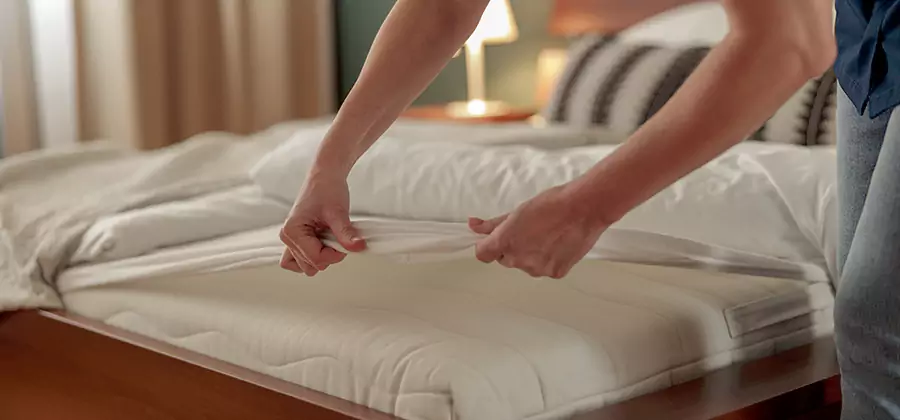 Bed Bug Extermination Services in Springfield
