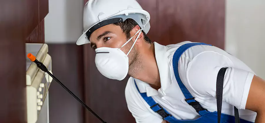 Injection Foam Treatment for Drywood Termites in Springfield