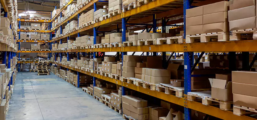 Warehouse Pest Control in Springfield
