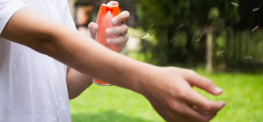 Mosquito and Tick Control Services in Springfield