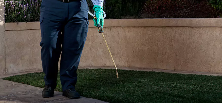 Soil Treatment for New Construction Termites in Springfield