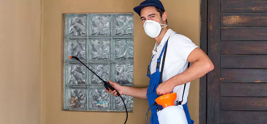 Physical Termite Barrier Installation in Springfield