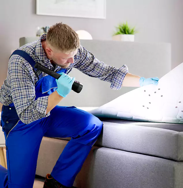 Why Choose Springfield MA Pest Control Pros For Bed Bug Heat Treatment in Springfield, OR?