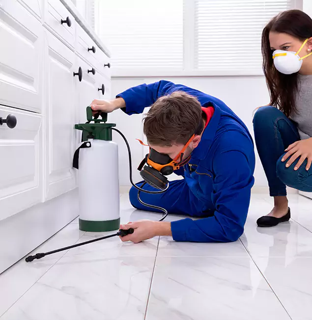 Why Choose Springfield MA Pest Control Pros in Springfield, OR?