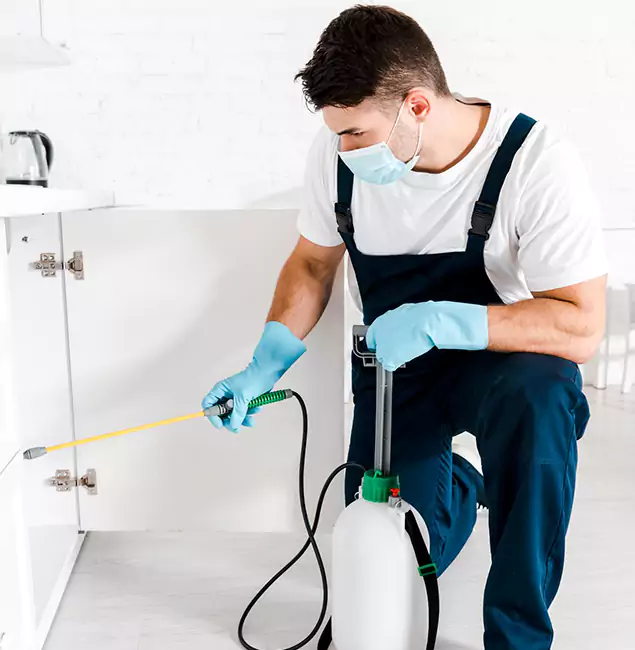 Why Choose Springfield MA Pest Control Pros for Emergency Pest Control in Springfield?