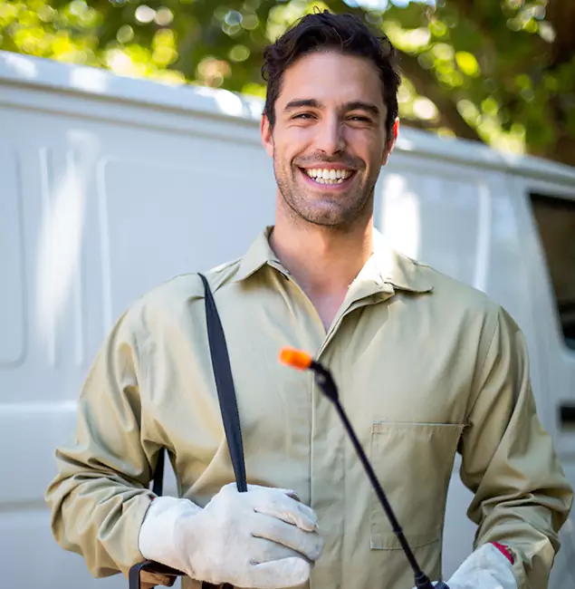 Why Springfield Homeowners Trust Springfield MA Pest Control Pros for Flea and Tick Treatment?