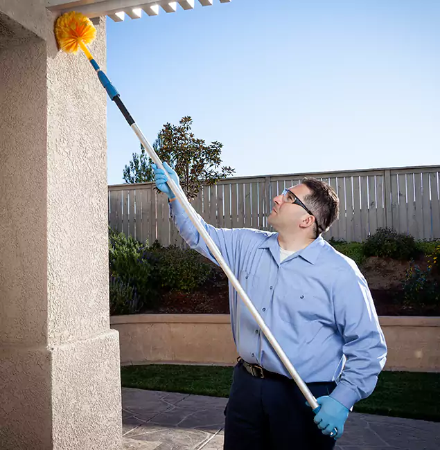 Why Choose Springfield MA Pest Control Pros for Foundation Termite Treatment in Springfield, OR?