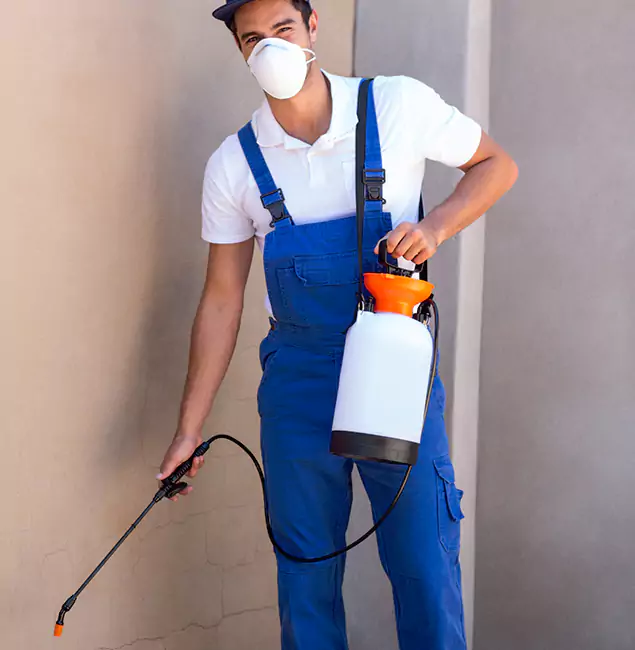 What Makes Springfield MA Pest Control Pros the Right Choice in Springfield, OR?