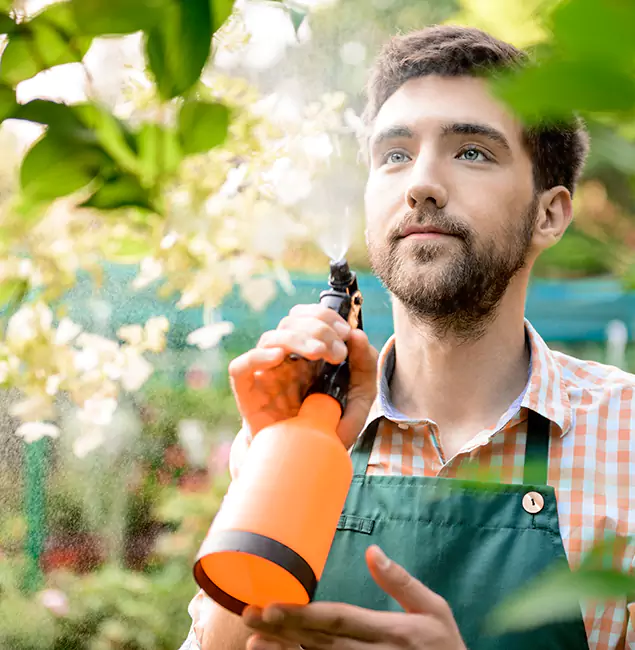 Why Springfield Homeowners Call Springfield MA Pest Control Pros for Mosquitoes in House?
