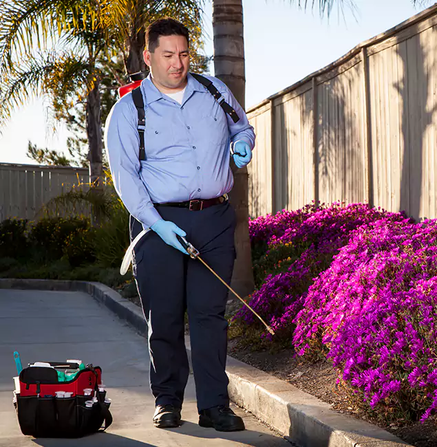Why Choose Springfield MA Pest Control Pros in Springfield, OR?