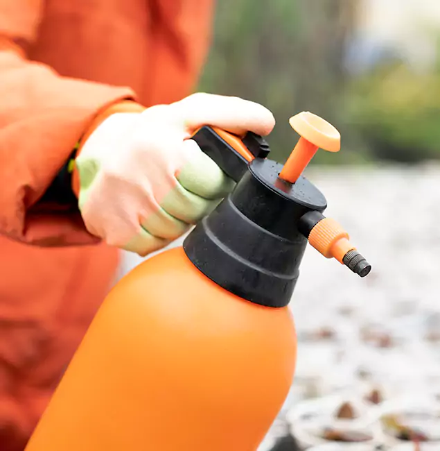 Why Choose Springfield MA Pest Control Pros for Orange Termite Treatment in Springfield, OR?