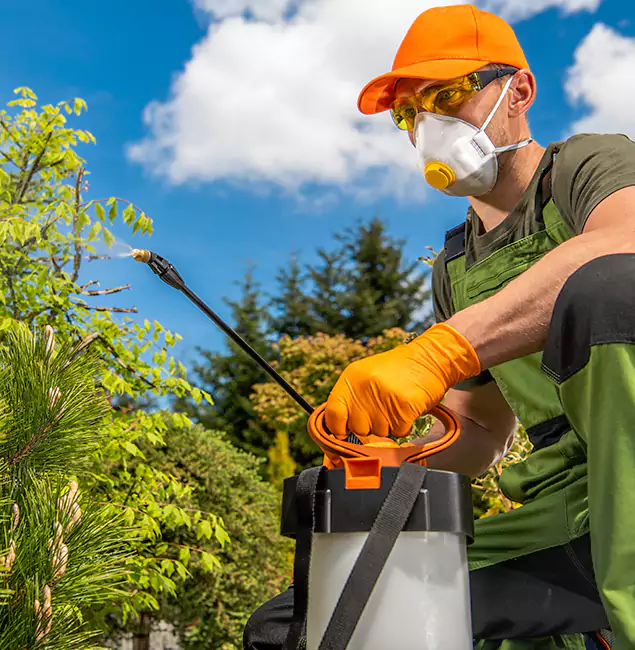 Why Choose Springfield MA Pest Control Pros for Outdoor Pest Control in Springfield, OR?